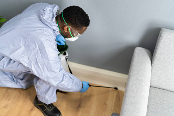 Emergency Pest Control Services in Orchard Mesa, CO